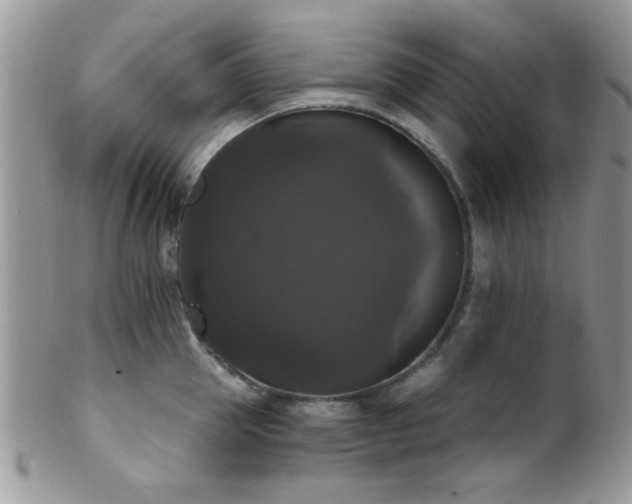 X0000102240953200807251257