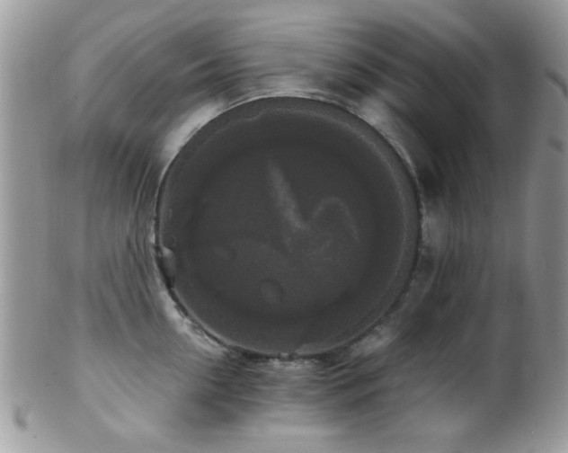 X0000102240954200807251257