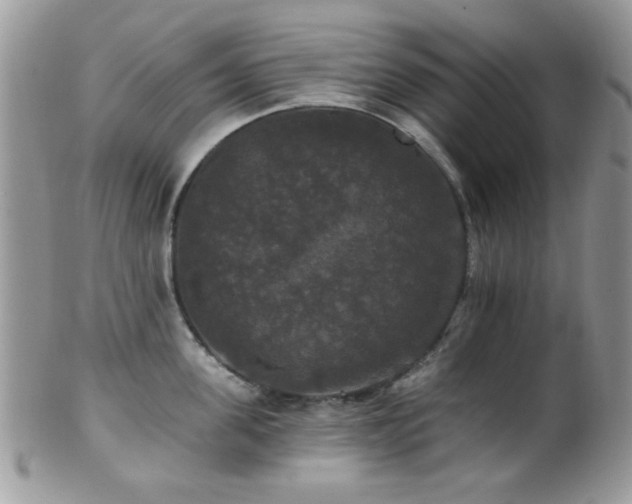 X0000102240955200807251257