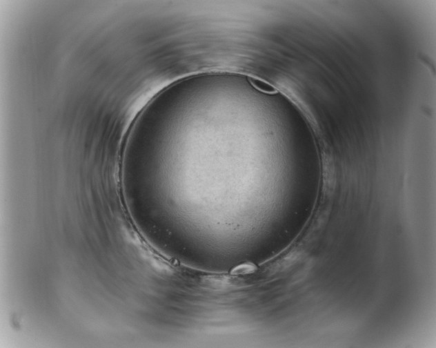 X0000102240956200807251257