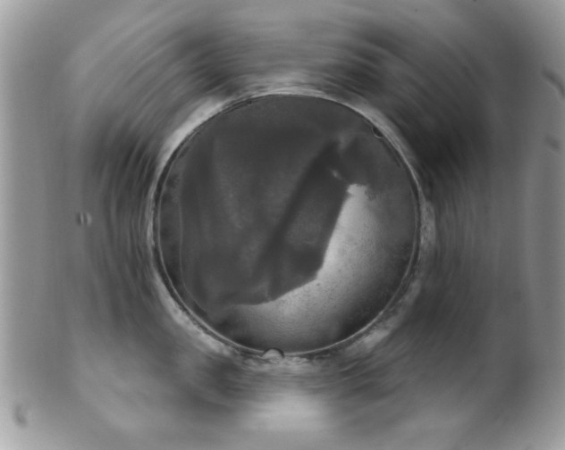 X0000102240957200807251257