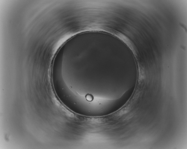 X0000102240958200807251257