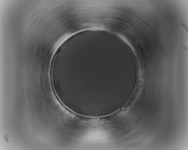 X0000102240959200807251257