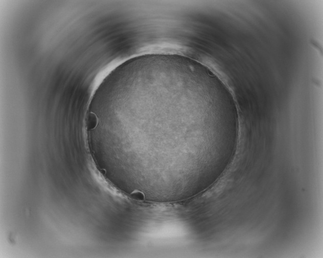 X0000102240960200807251257