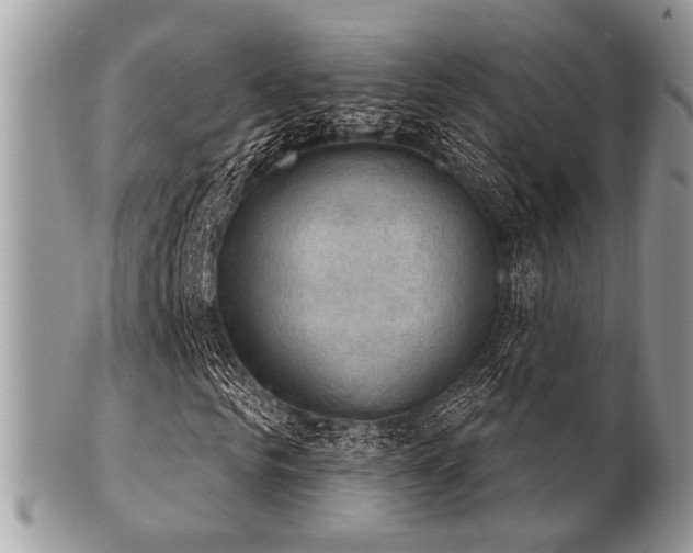 X0000102240961200807251256