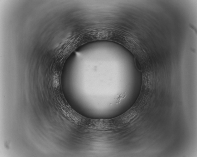 X0000102240962200807251256