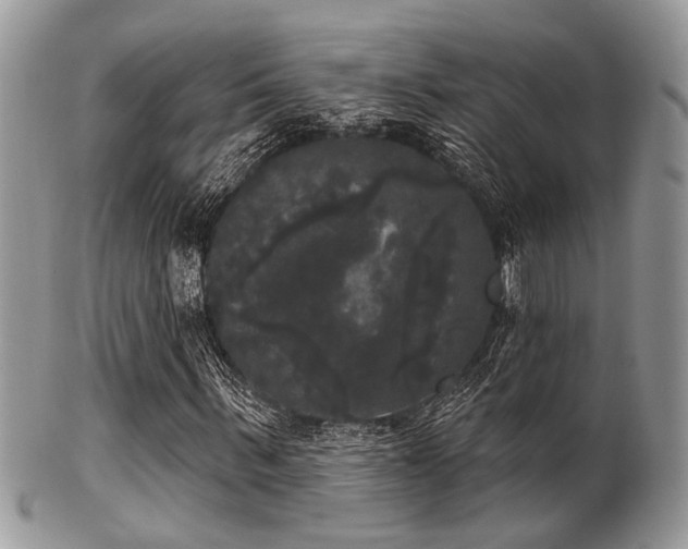 X0000102240963200807251256