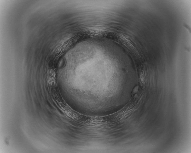 X0000102240964200807251256