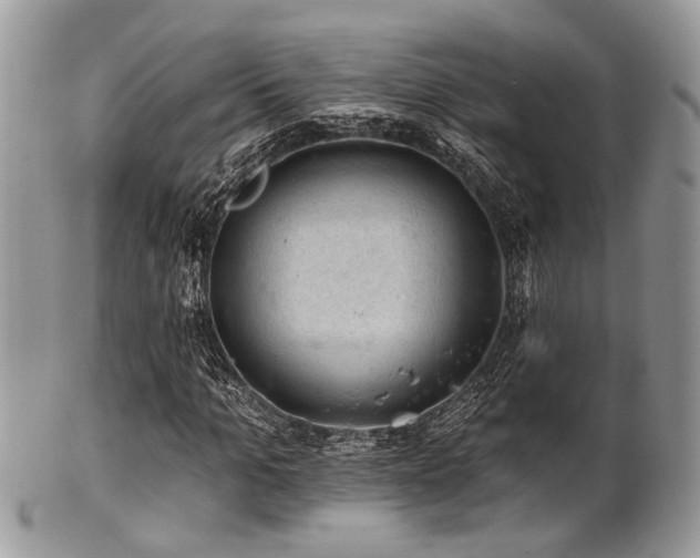 X0000102240965200807251256