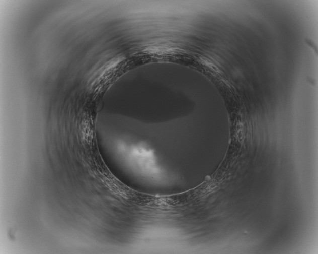 X0000102240966200807251256