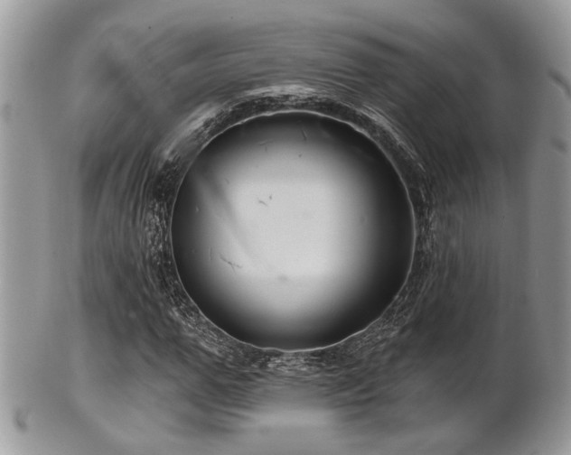 X0000102240967200807251256