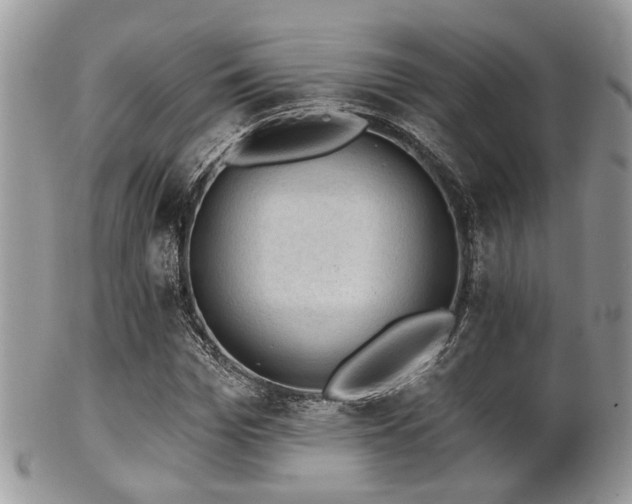 X0000102240969200807251256