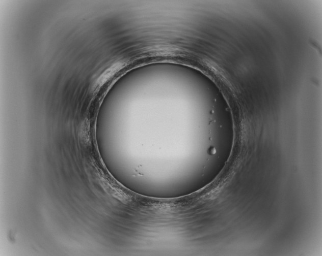 X0000102240970200807251256