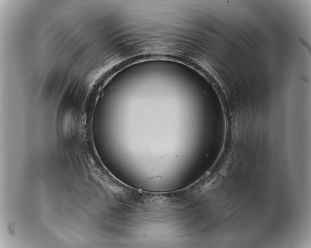 X0000102240971200807251256