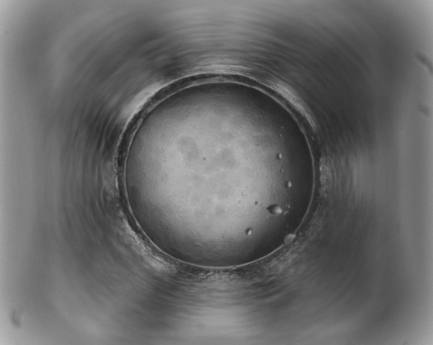 X0000102240972200807251256