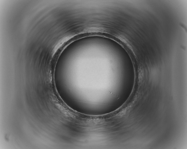 X0000102240973200807251256