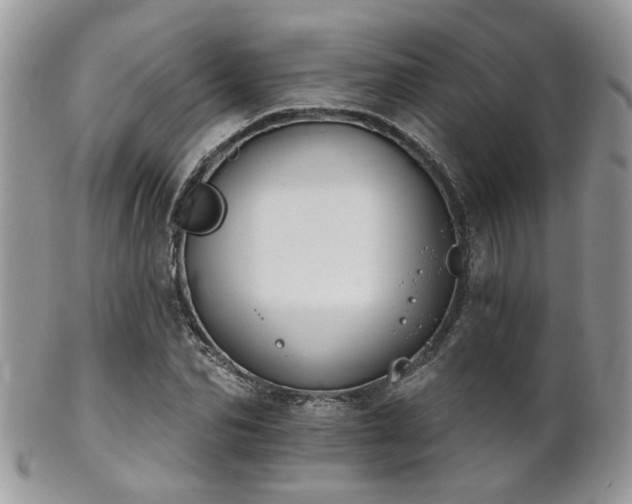 X0000102240974200807251256