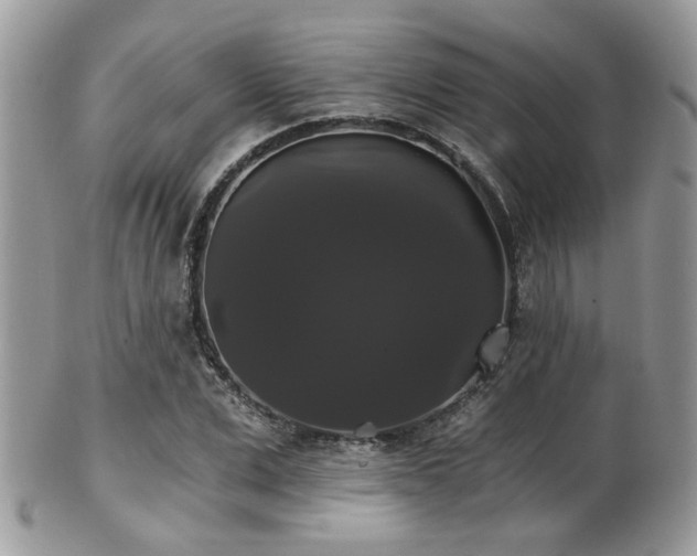 X0000102240975200807251256