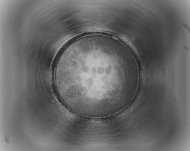 X0000102240976200807251256