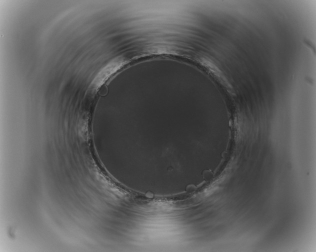 X0000102240977200807251256