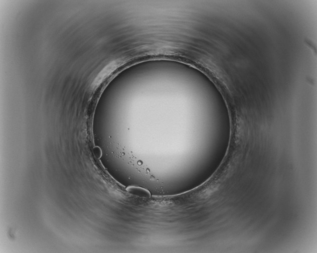 X0000102240978200807251256