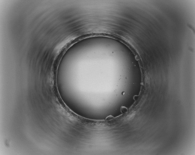 X0000102240979200807251256