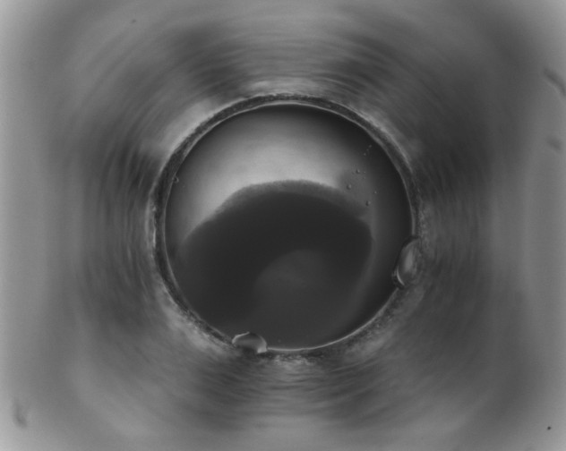 X0000102240983200807251255