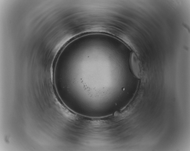 X0000102240988200807251255