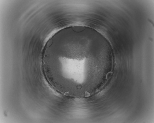 X0000102240989200807251255