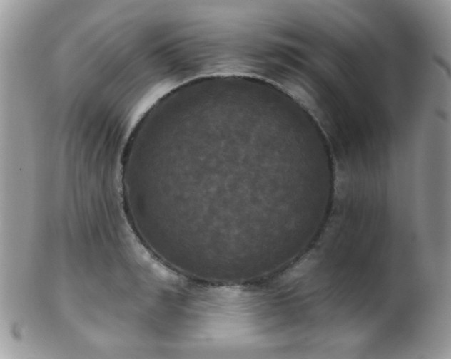 X0000102240990200807251255