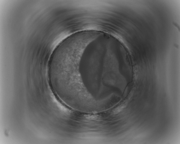 X0000102240991200807251255