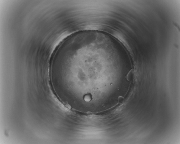 X0000102240992200807251255