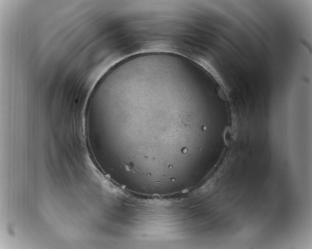 X0000102240996200807251255