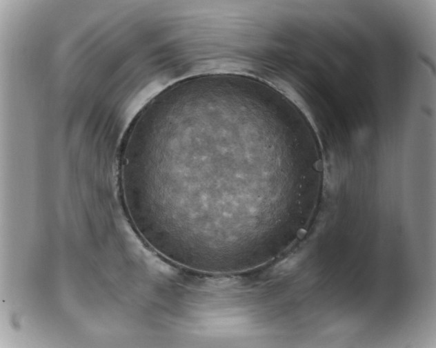 X0000102240997200807251255