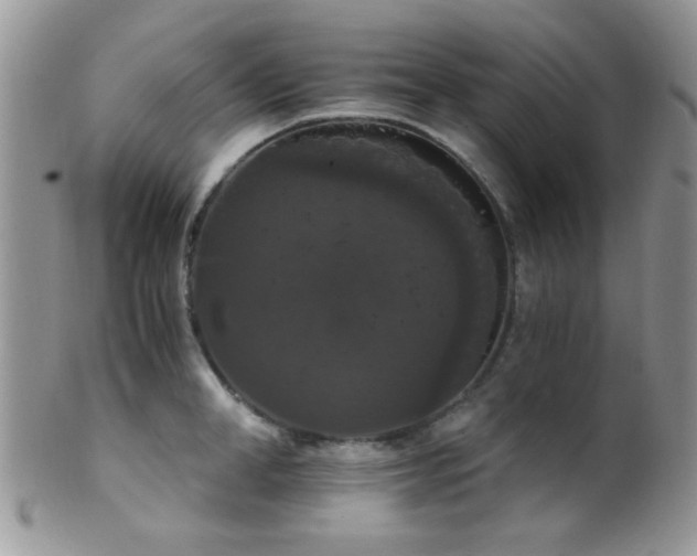 X0000102240998200807251255