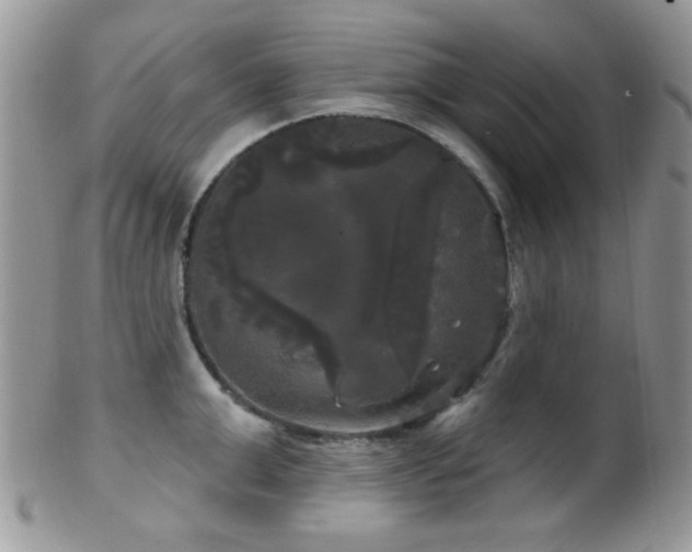 X0000102240999200807251255