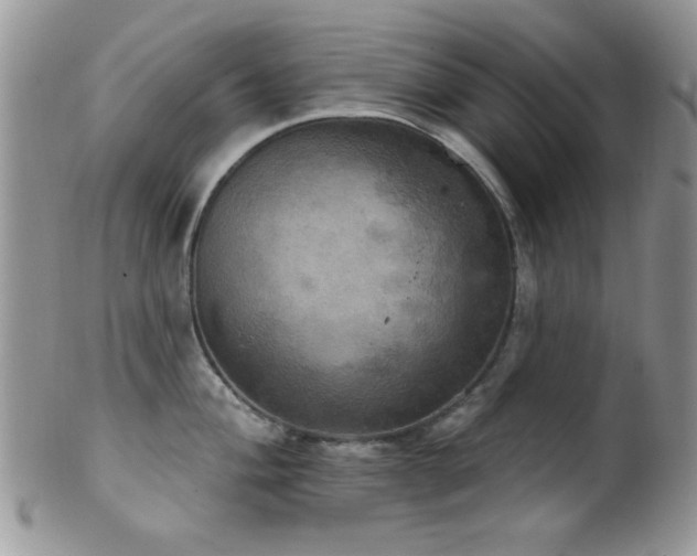 X0000102241004200807251255