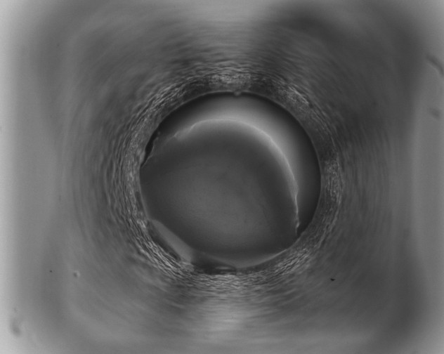 X0000102241009200807251254