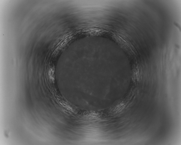 X0000102241010200807251254