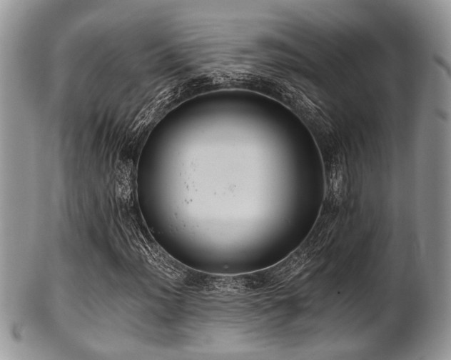 X0000102241012200807251254