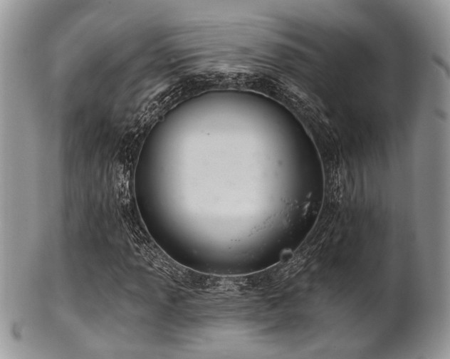 X0000102241013200807251254