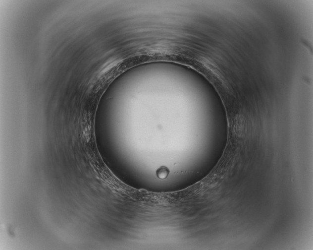 X0000102241015200807251255