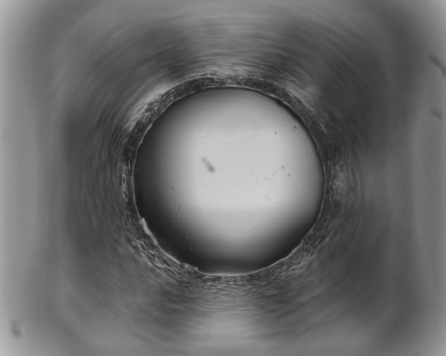 X0000102241016200807251255