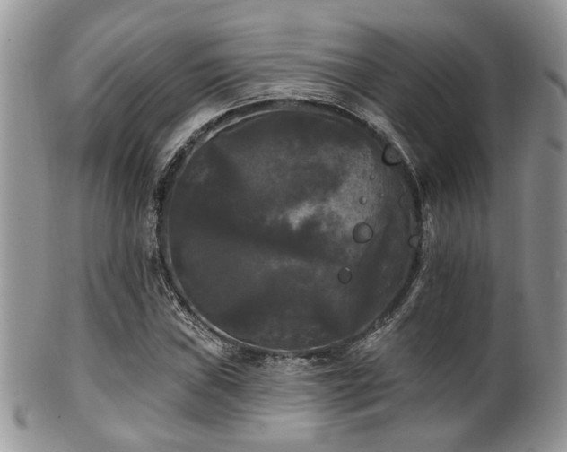 X0000102241019200807251255