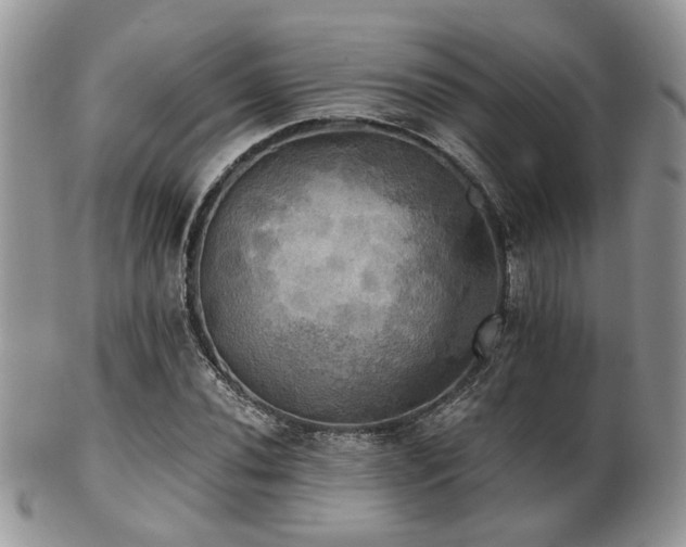 X0000102241020200807251255