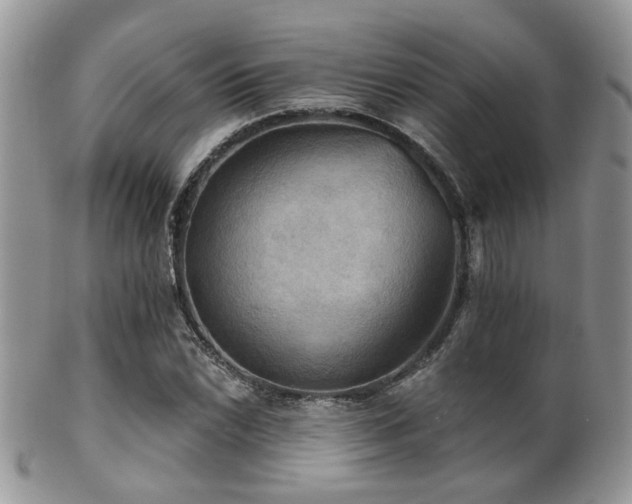 X0000102241022200807251255