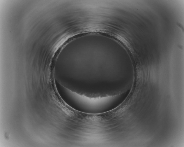 X0000102241023200807251255