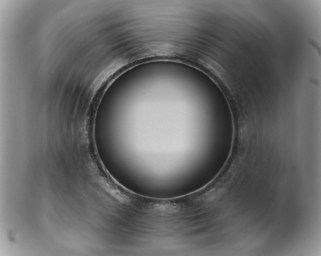 X0000102241026200807251255