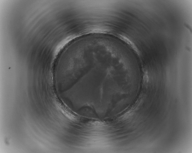 X0000102241027200807251255