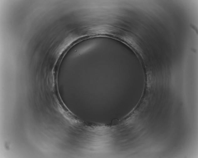 X0000102241031200807251255